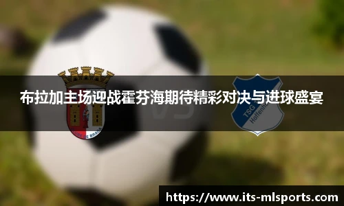 米兰体育官网